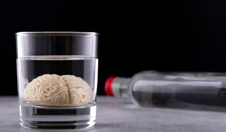 Wpływ alkoholu na mózg – Czy alkohol niszczy mózg